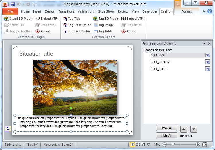../../_images/template_ppt.png