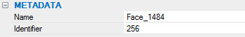_images/metadata_pane.png