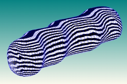 ../../_images/tube_zebra_striped.jpg