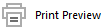 print_preview